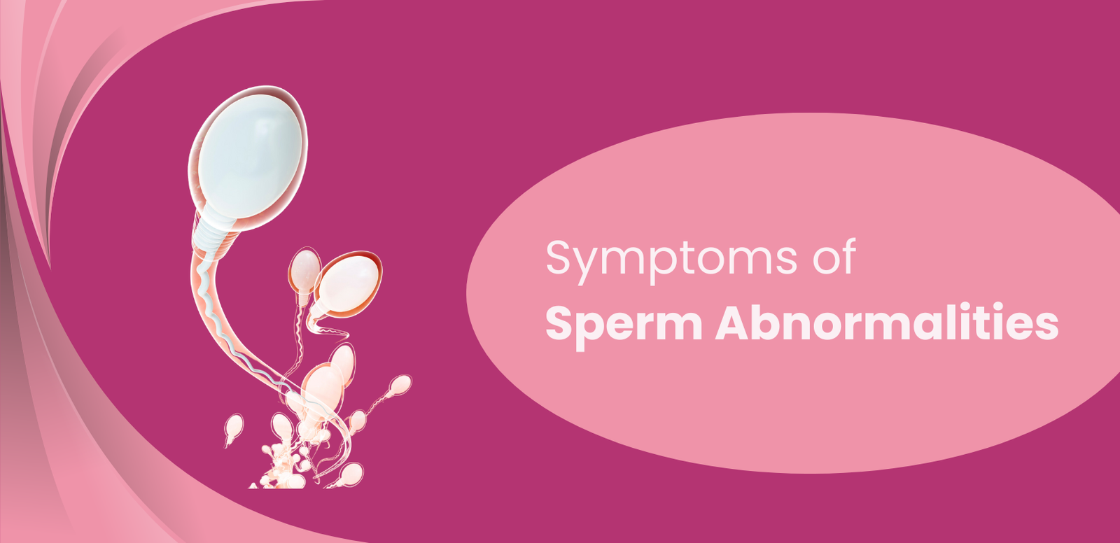 Symptoms of Sperm Abnormalities