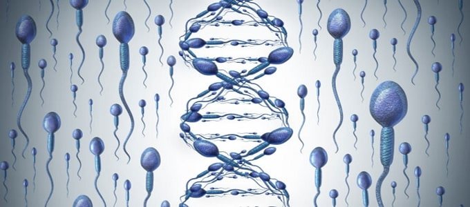 DNA Fragmentation Index (DFI)