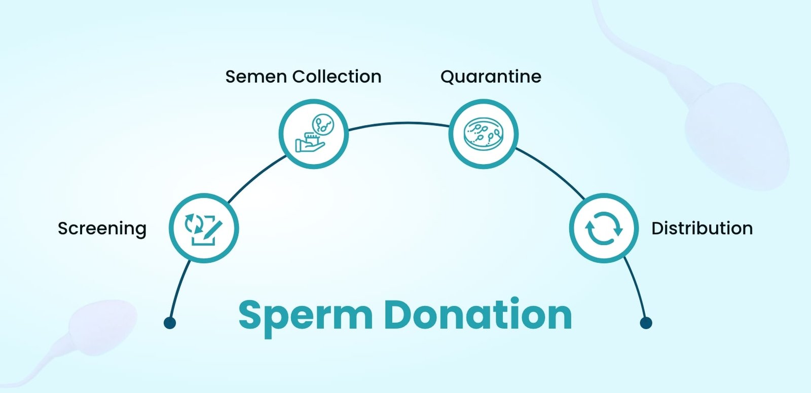 Sperm Donation: