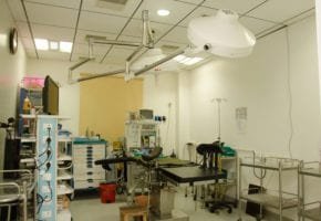 IVF Lab Image1