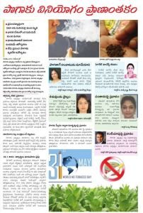 Media Image1