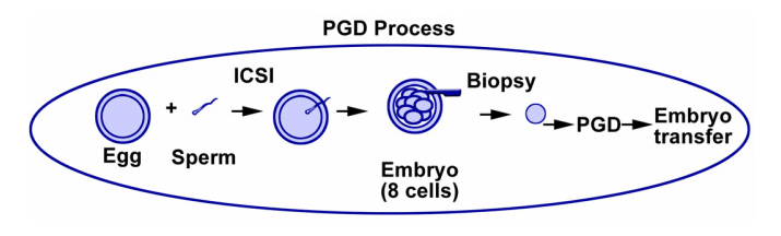 benefits of PGD