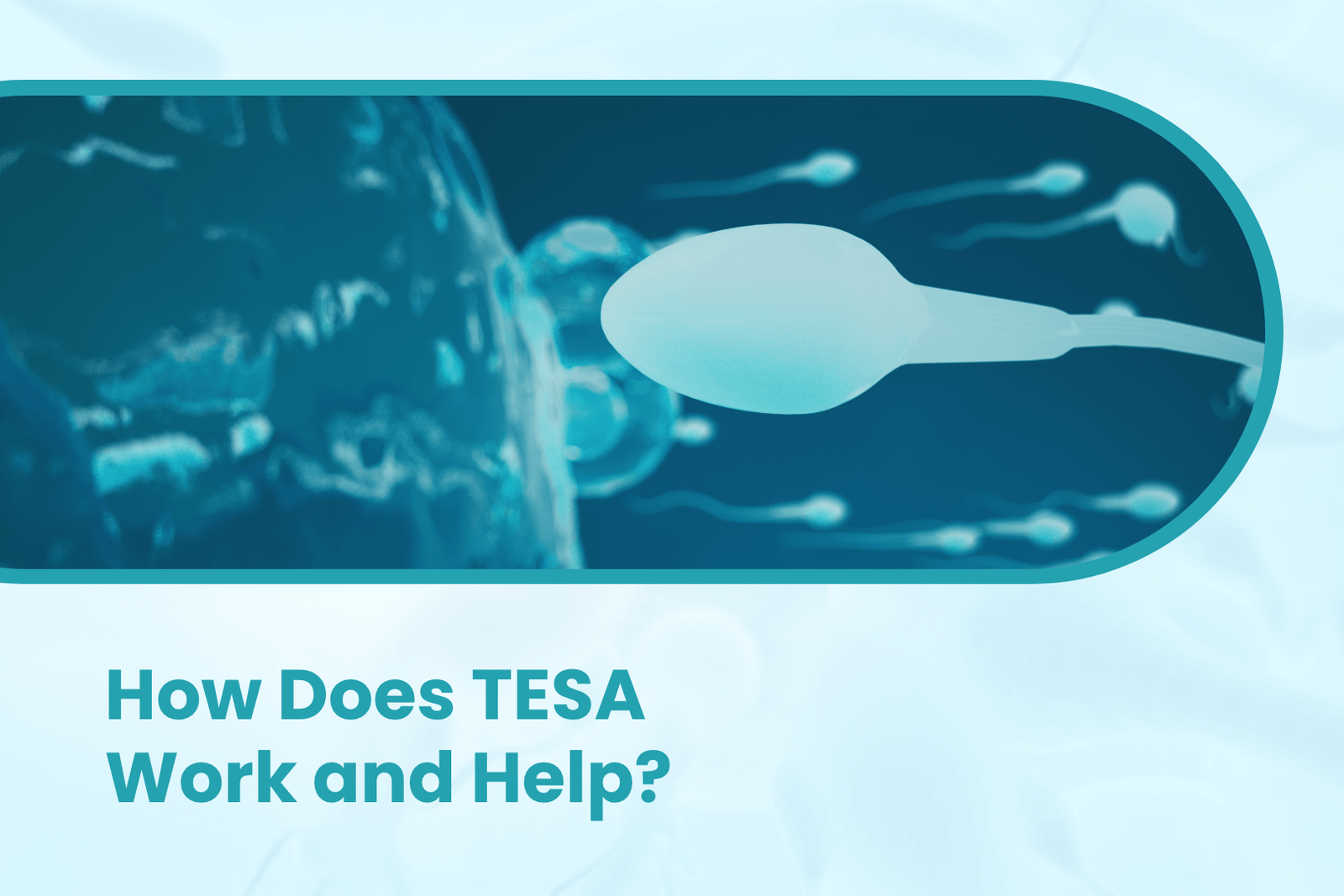 How Does TESA Work and Help?