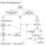 UTERINE EVALUATION AND TREATMENTS