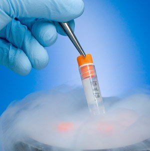 Vitrification