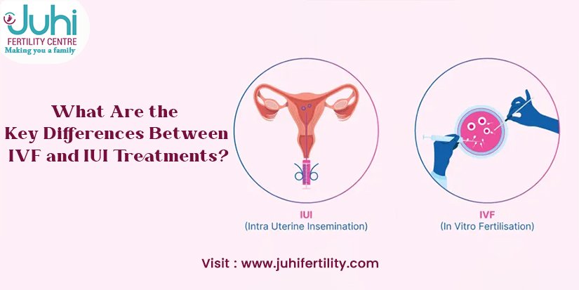 What Are the Key Differences Between IVF and IUI Treatments?